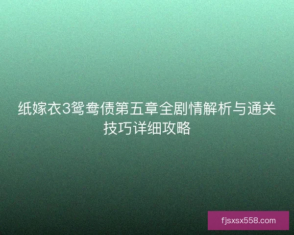 纸嫁衣3鸳鸯债第五章全剧情解析与通关技巧详细攻略