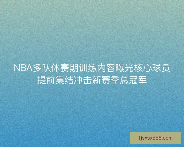 NBA多队休赛期训练内容曝光核心球员提前集结冲击新赛季总冠军