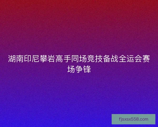 湖南印尼攀岩高手同场竞技备战全运会赛场争锋 湖南印尼攀岩高手同场竞技备战全运会赛场争锋