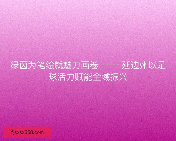 绿茵为笔绘就魅力画卷 —— 延边州以足球活力赋能全域振兴