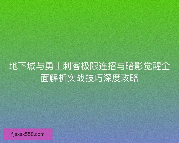 地下城与勇士刺客极限连招与暗影觉醒全面解析实战技巧深度攻略